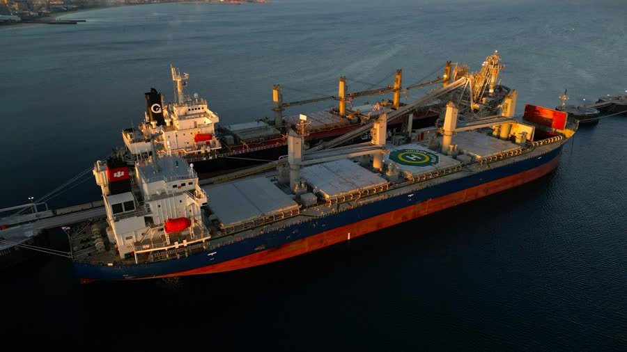 Bulk carrier loading grain at a port terminal